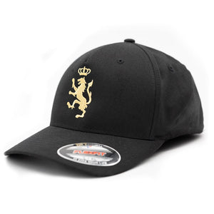 
            
                Load image into Gallery viewer, Fitted Baseball Cap
            
        